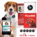 Κολάρο μέτρηση δραστηριότητας κατοικίδιων ζώων - Dogtra iQ Pet StarWalk